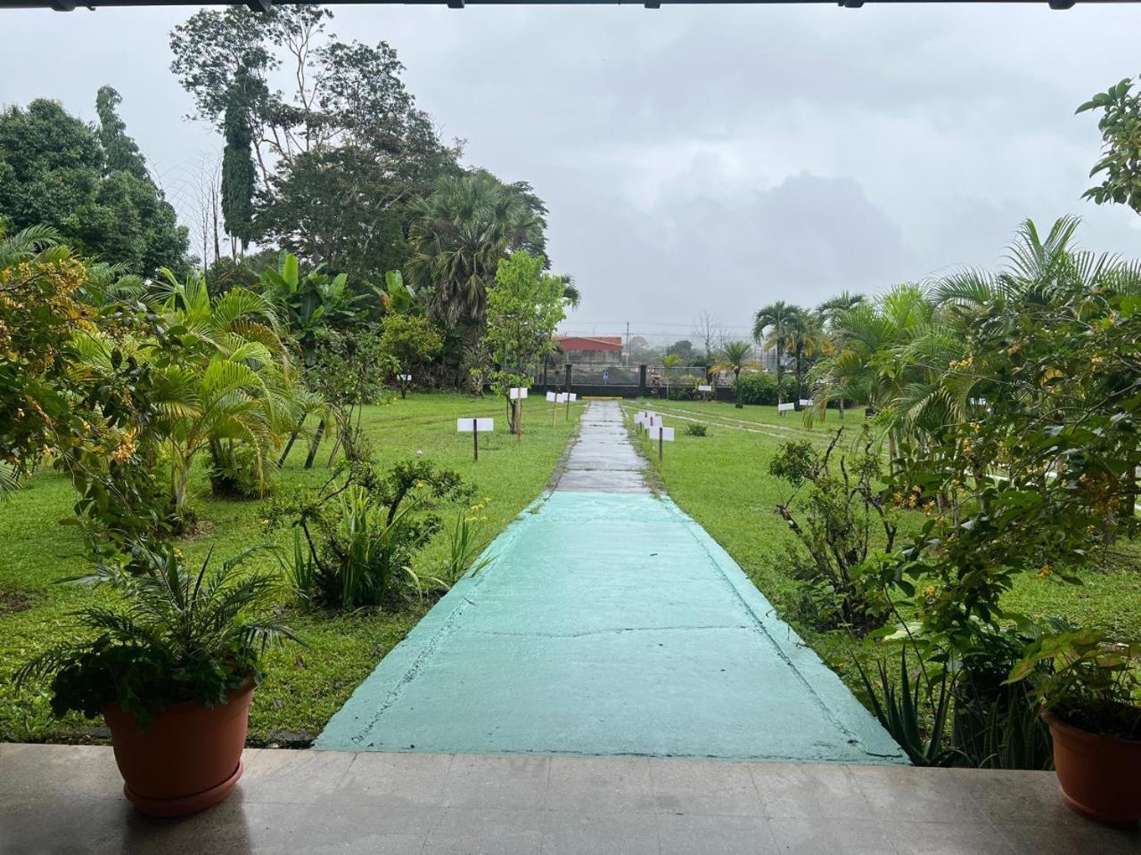 Casa Eva Lodging Costa Rica San Isidro De El General Dış mekan fotoğraf
